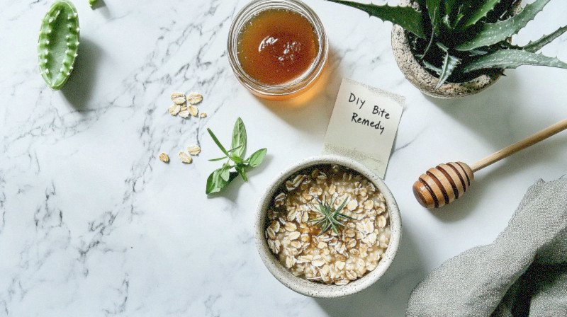 DIY Bug Bite Relief Remedies