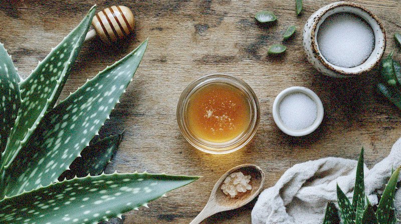 How To Make DIY Bug Bite Relief Remedies