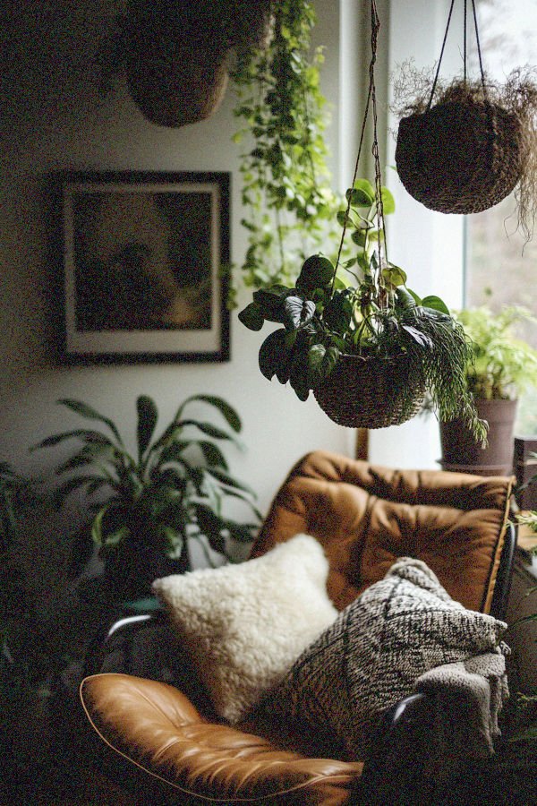hanging baskets